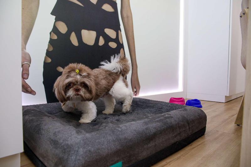 Hotel Bossa Nova Ipanema