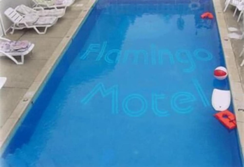 فندق Flamingo Inn