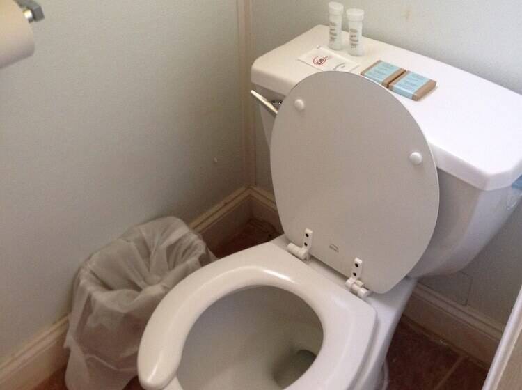 فندق Flamingo Inn