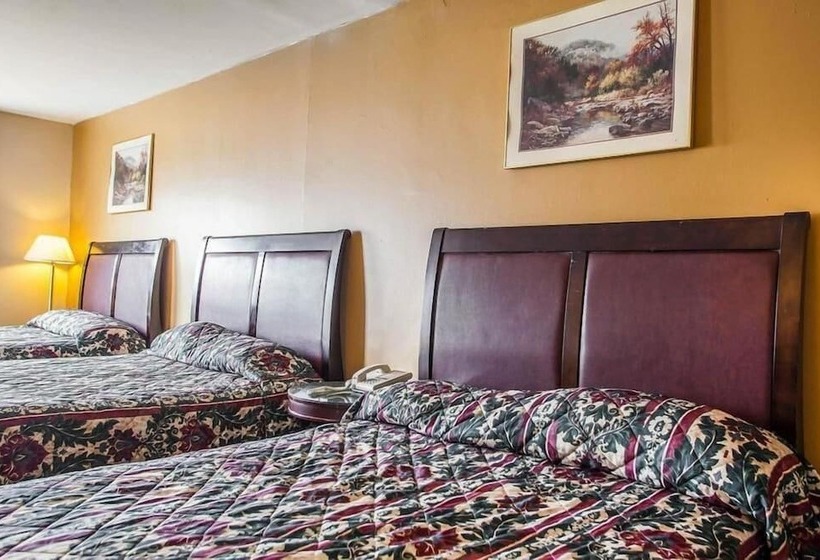 فندق Flamingo Inn