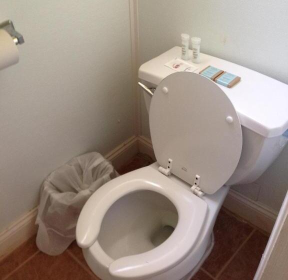 فندق Flamingo Inn