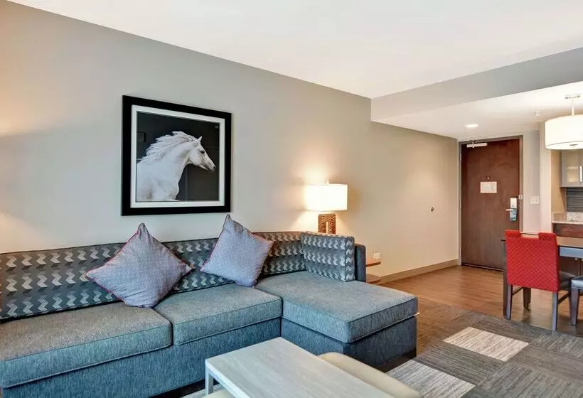 ホテル Homewood Suites By Hilton Techridge Parmer @ I 35