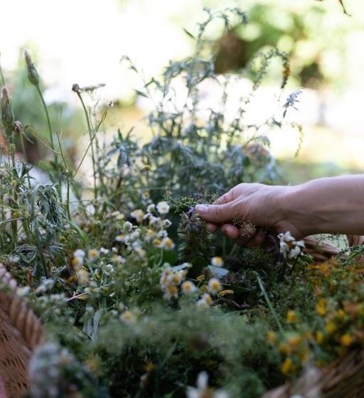 Kräuterhotel Garni Zur Klostergrotte