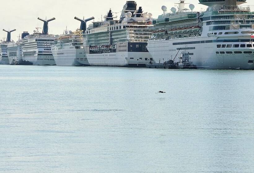 Отель Monte Carlo Miami Beach