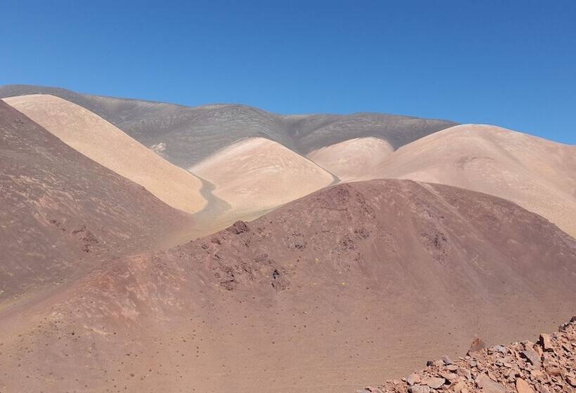 בית מלון כפרי Posada Del Olivo
