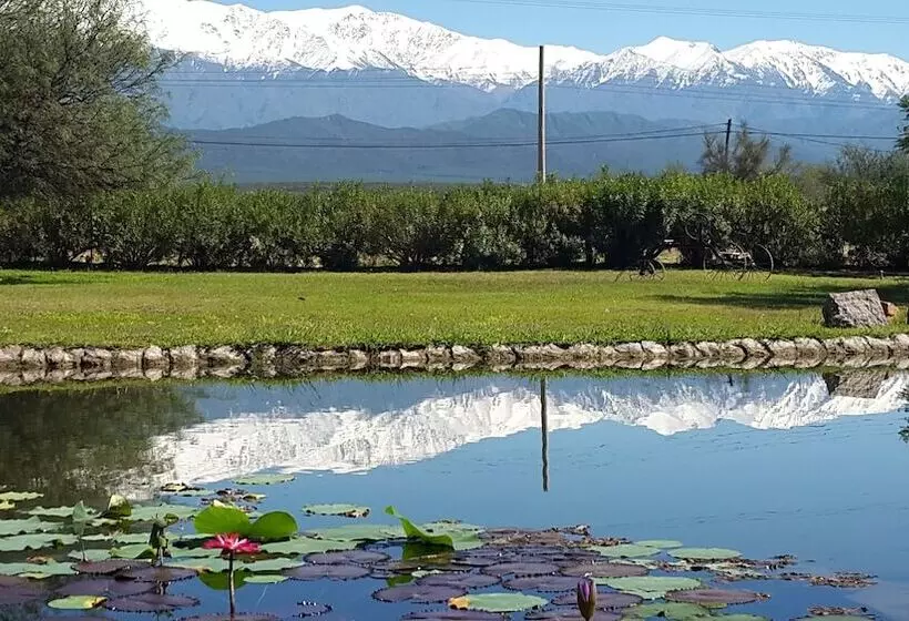 ホテル Posada Del Olivo