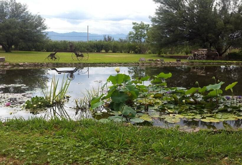 בית מלון כפרי Posada Del Olivo