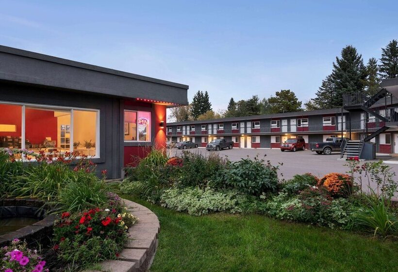 בית מלון כפרי Thriftlodge Edmonton