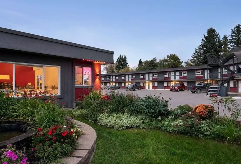 ホテル Thriftlodge Edmonton