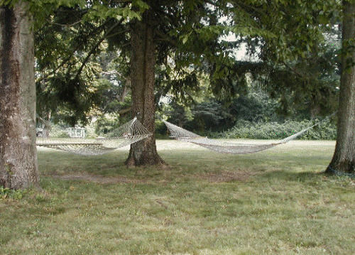 Bed and Breakfast Eden Manor