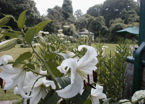 Bed and Breakfast Eden Manor