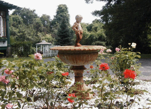 Bed and Breakfast Eden Manor