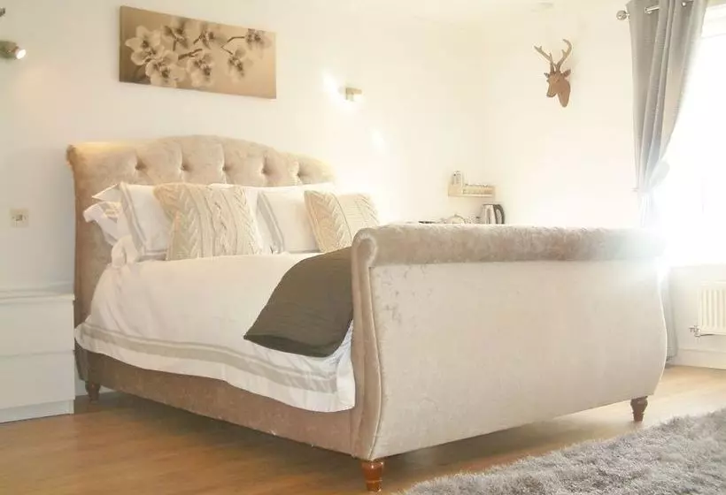 Fifty One And A Half Boutique B&b