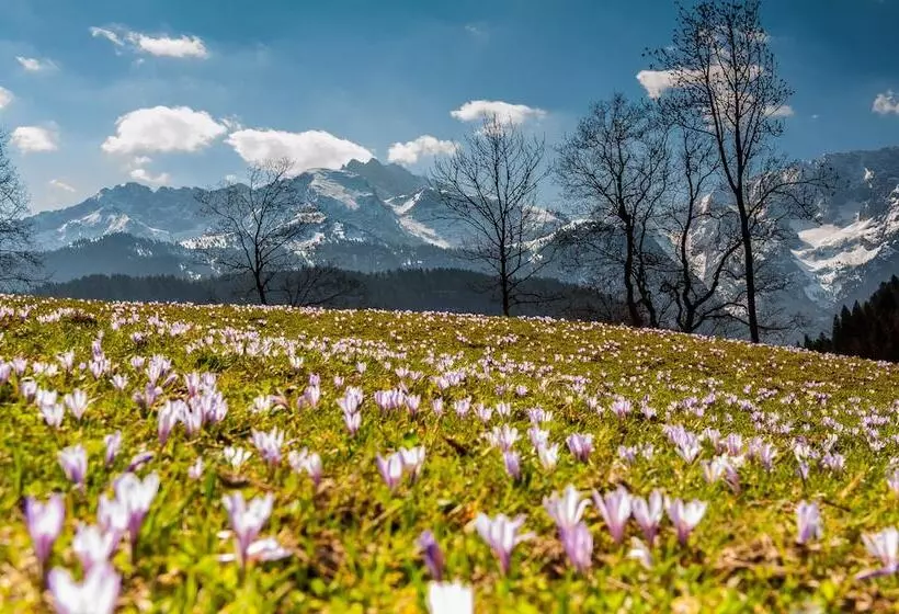 Hotel Das Graseck Mountain Hideaway & Health Care