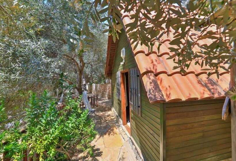 Hotel Olympos Mocamp Kas