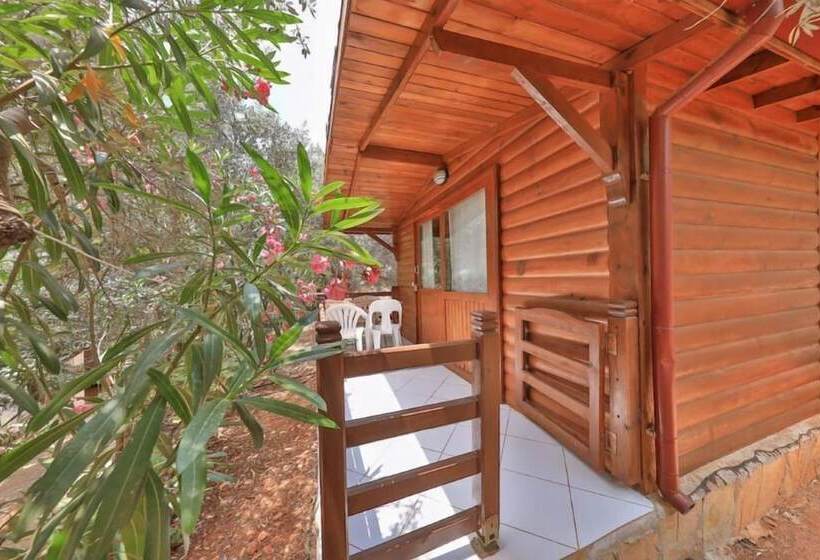 Hotel Olympos Mocamp Kas