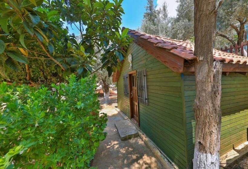 Hotel Olympos Mocamp Kas