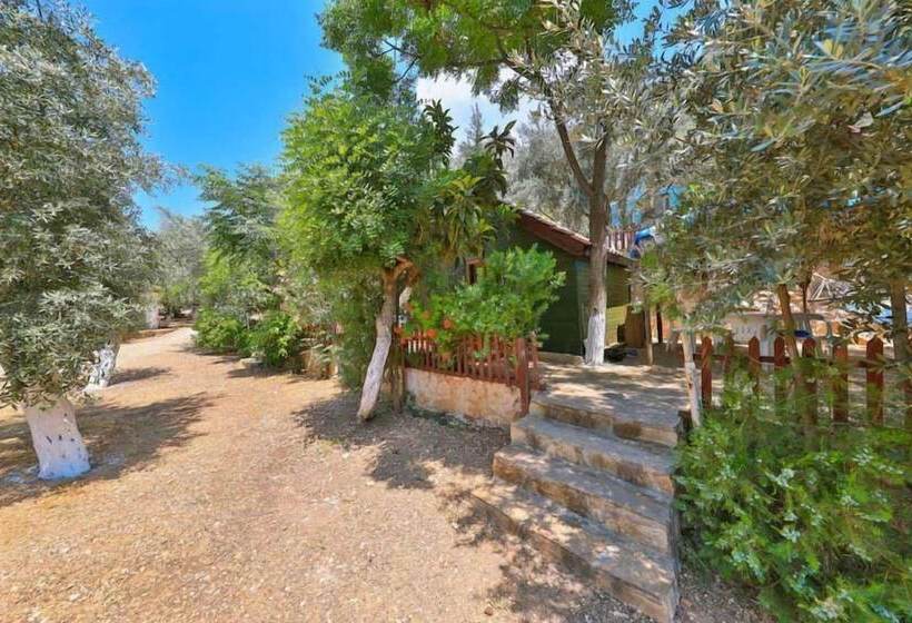 Hotel Olympos Mocamp Kas