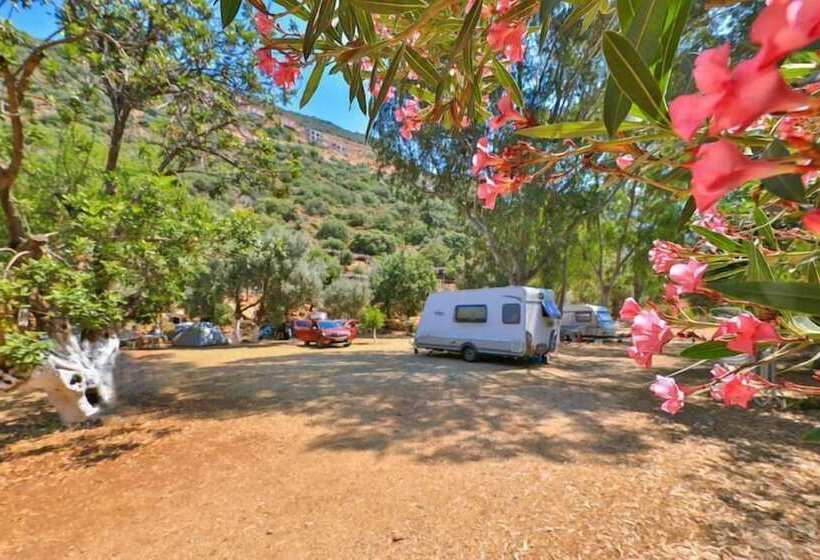 Hotel Olympos Mocamp Kas