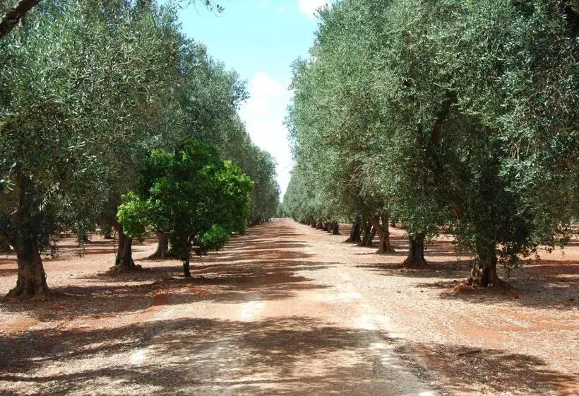 ホテル Terra Di Leuca