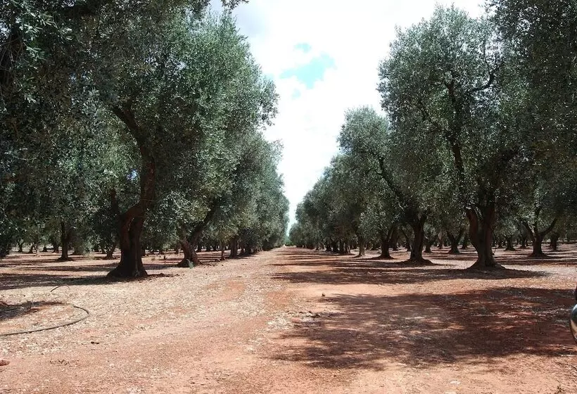 ホテル Terra Di Leuca