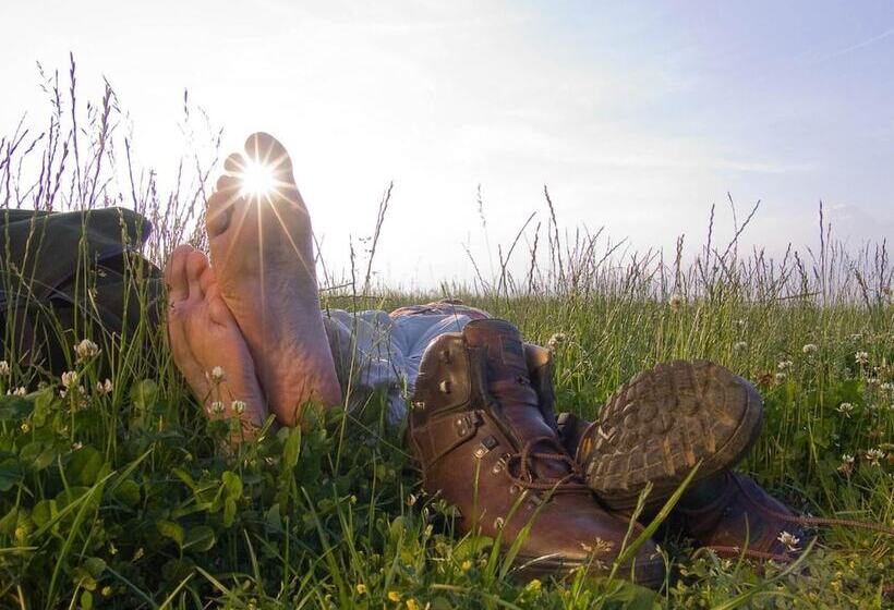 בית מלון כפרי Restaurant Peifer