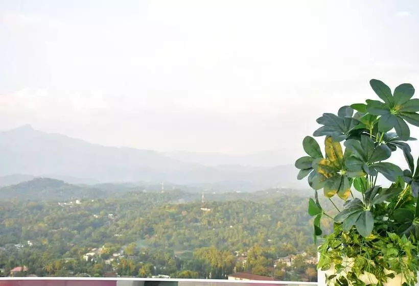 View 360