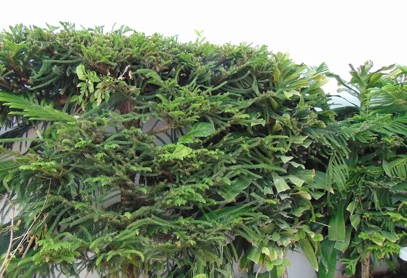 Departamentos Villas Capdeviel