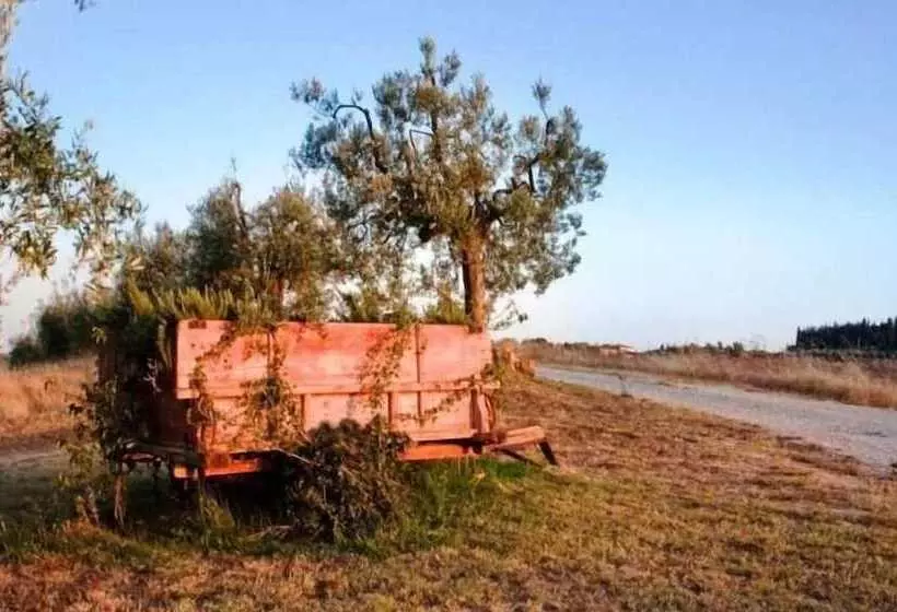 ホテル Agriturismo Podere La Marronaia