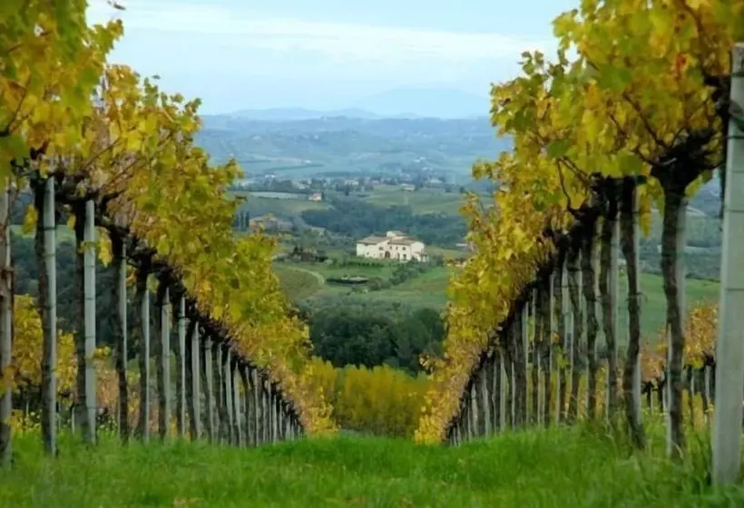 ホテル Agriturismo Podere La Marronaia