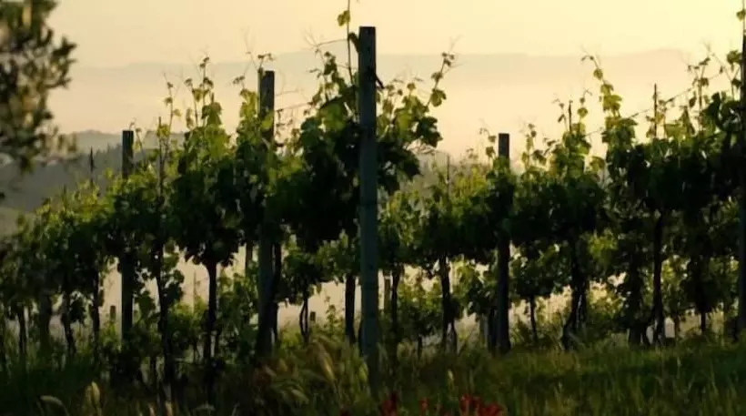 ホテル Agriturismo Podere La Marronaia