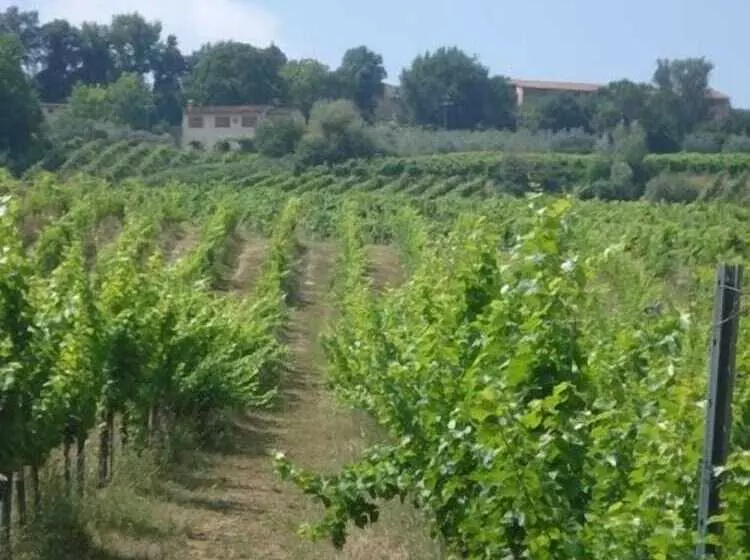 ホテル Agriturismo Podere La Marronaia