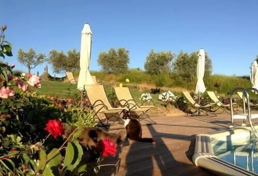 ホテル Agriturismo Podere La Marronaia
