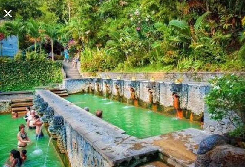 Bali Paradise Hotel Boutique Resort