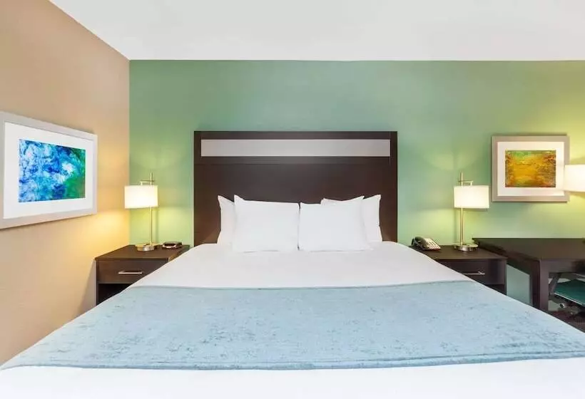 ホテル Baymont By Wyndham Midland Center