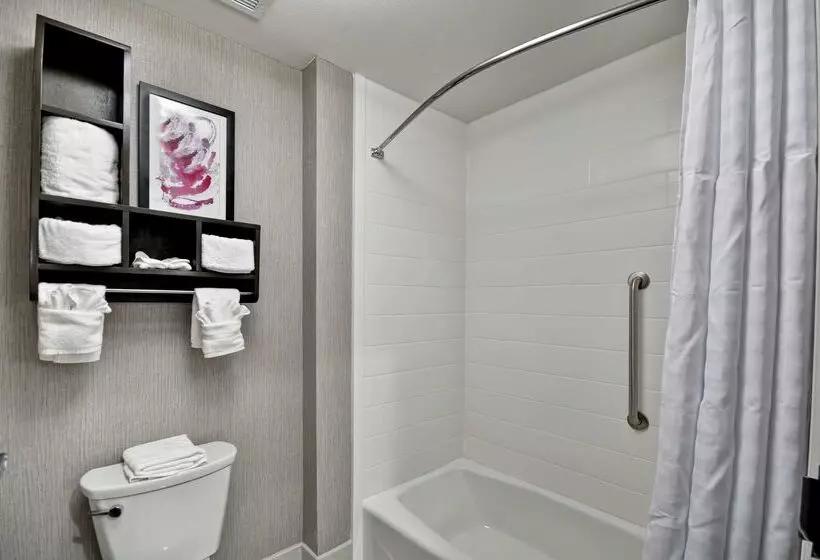 ホテル Homewood Suites By Hilton Tyler
