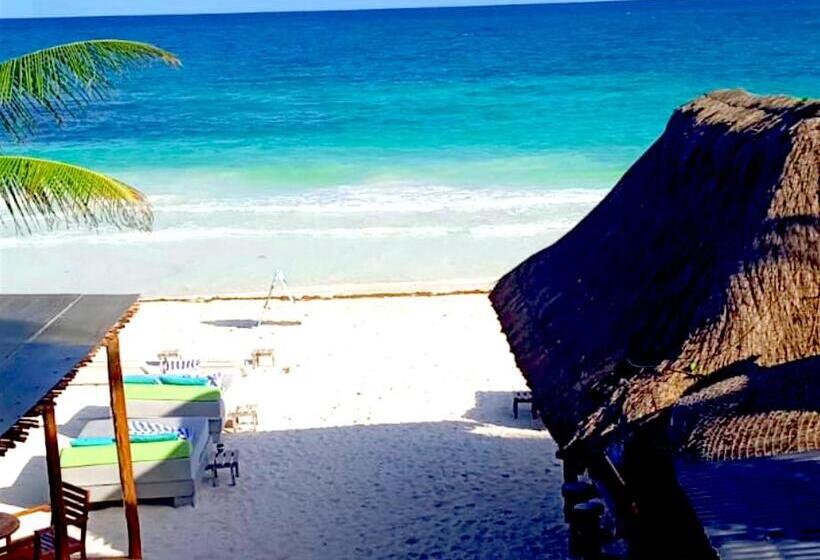 فندق Playa Canek Beachfront Eco