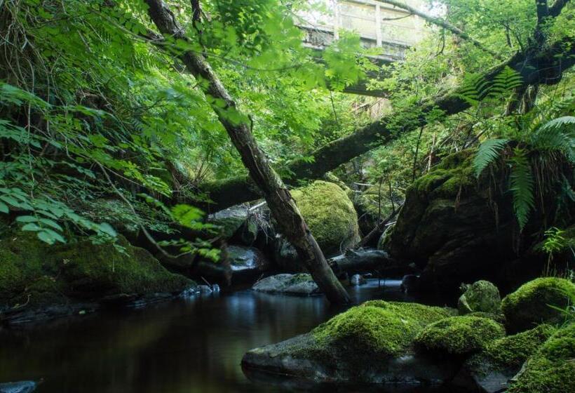 בית מלון כפרי The Ben Sheann