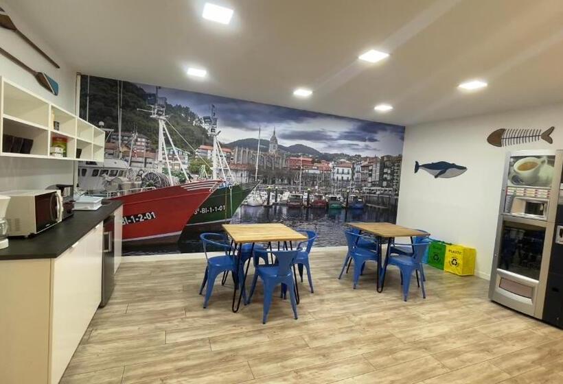 Aamiaismajoitus (B&B) Casual Blue