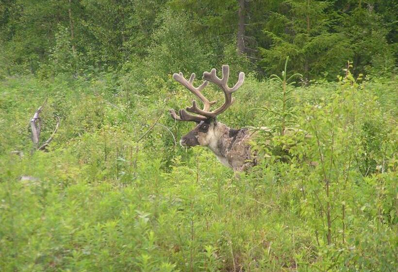 Fredrika Hotell Jakt&fiskecamp