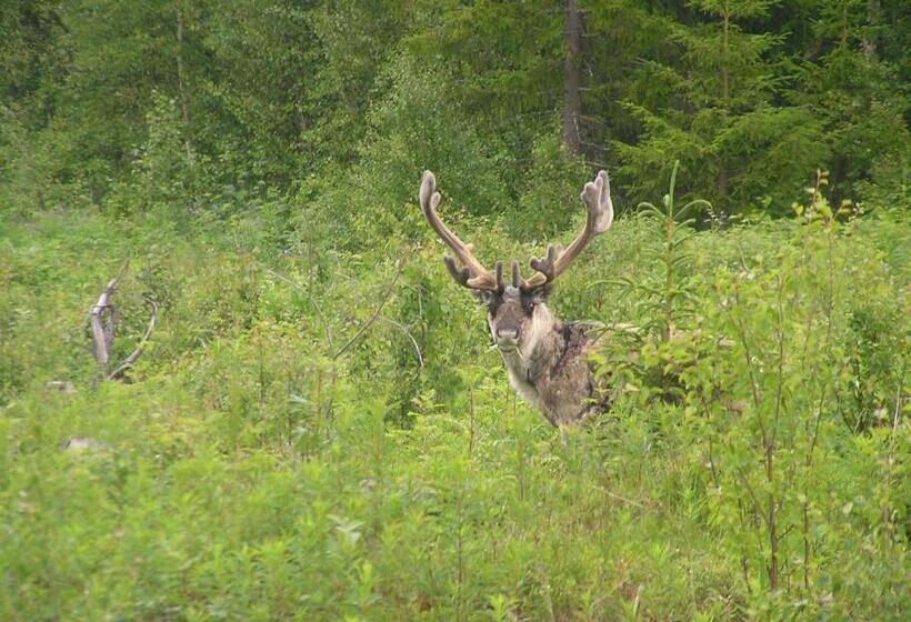 Fredrika Hotell Jakt&fiskecamp