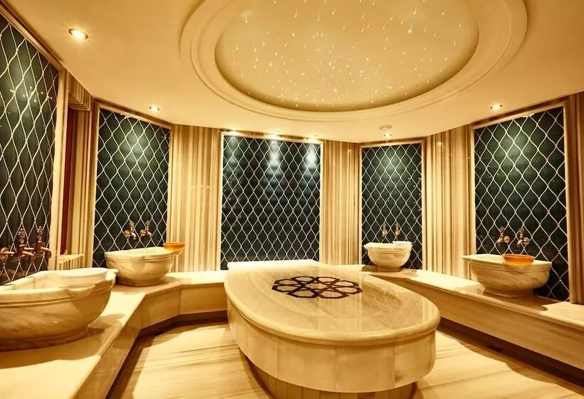 Beethoven Hotel   Special Category