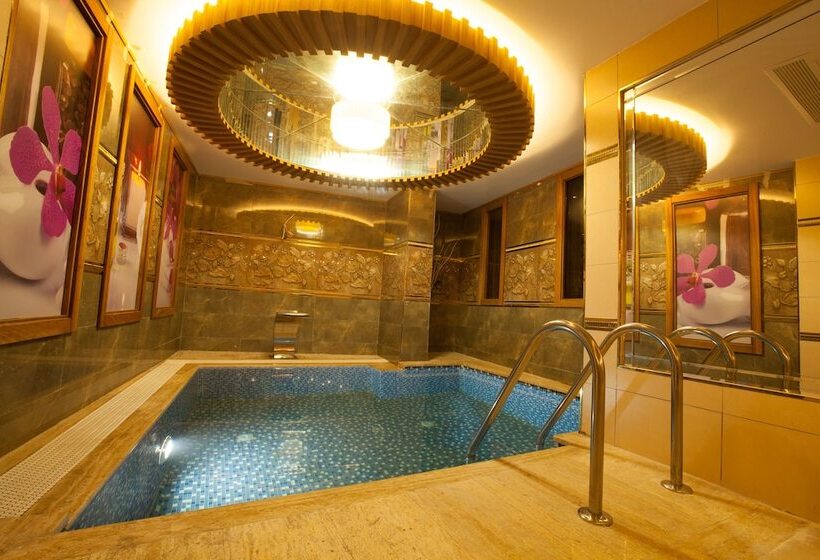 Beethoven Hotel Special Category