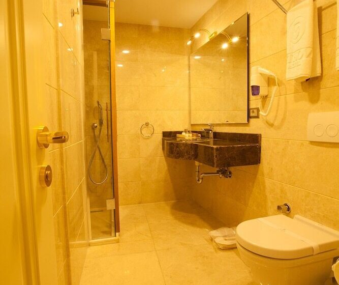 Beethoven Hotel Special Category