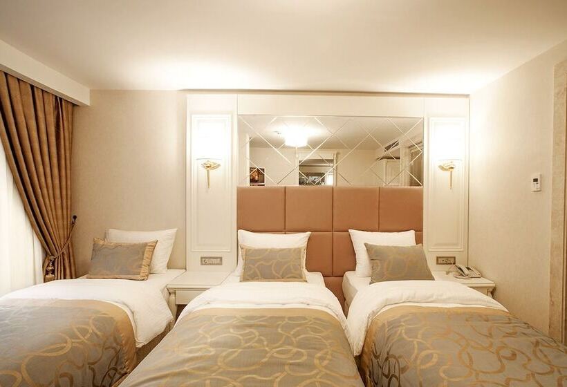 Beethoven Hotel Special Category