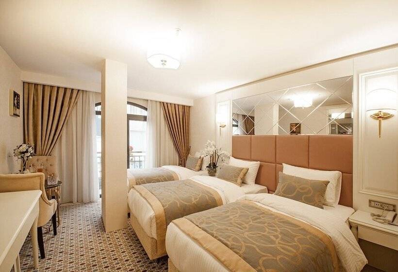 Beethoven Hotel Special Category