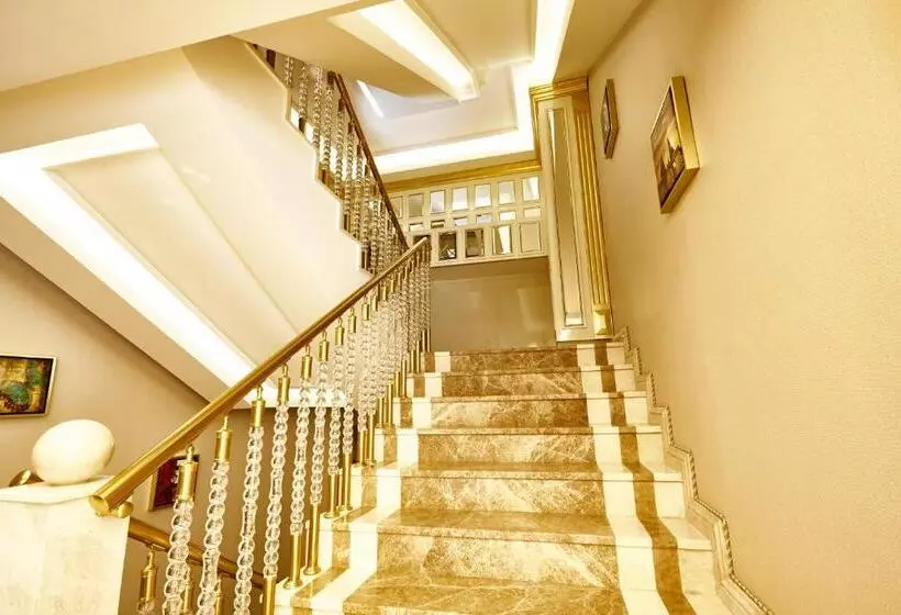 Beethoven Hotel   Special Category