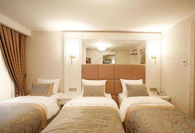 Beethoven Hotel Special Category