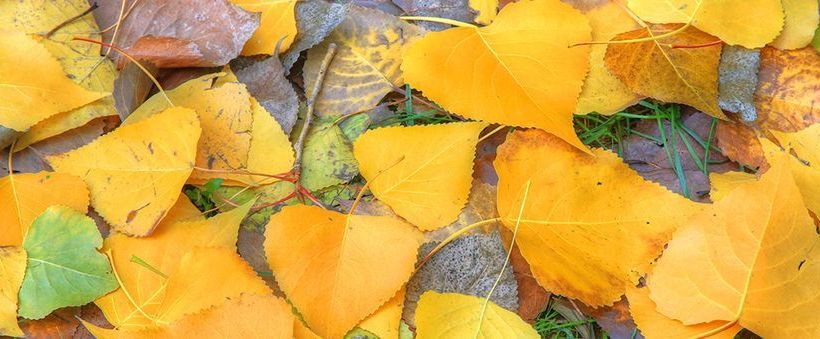 酒店 Bright Accommodation Park