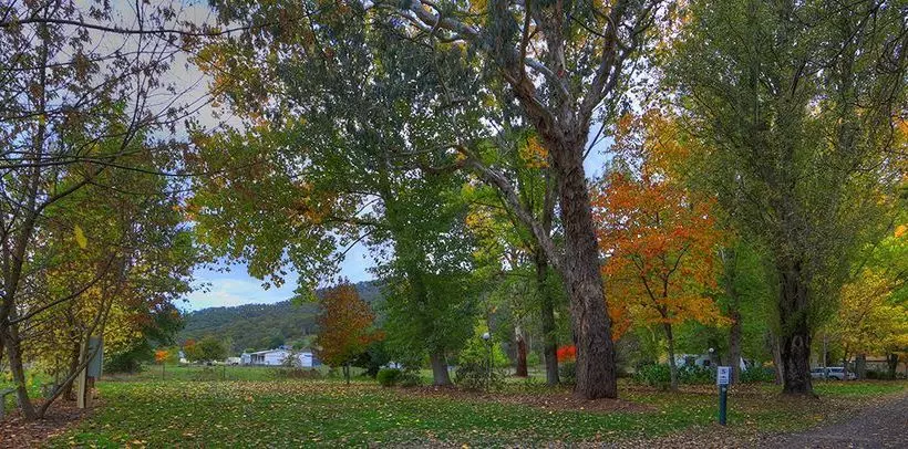 Hotelli Bright Accommodation Park
